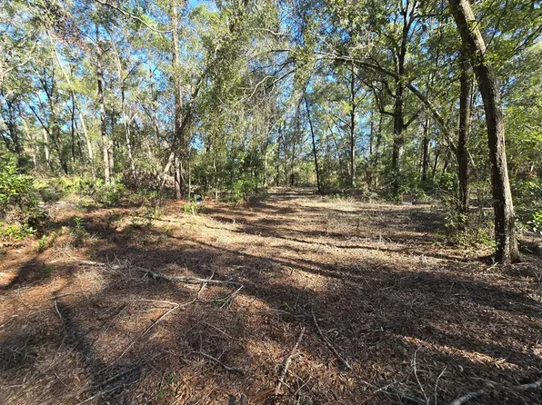 TBD NW 57th Pl, Chiefland, FL 32626