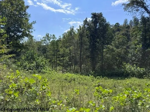 Hagans Rd, Rivesville, WV 26588