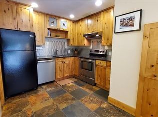 221 S Fuller Placer Rd, Breckenridge, CO 80424