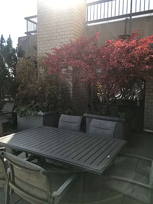 Rented by 280 Park Avenue South Realty | media 5