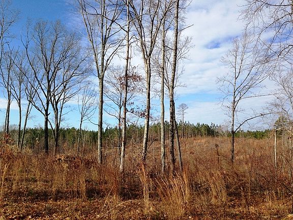 ga recreational land for sale, land for sale georgia