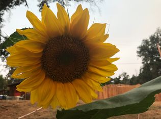 12186 Deer Creek Rd, Groveland, CA 95321