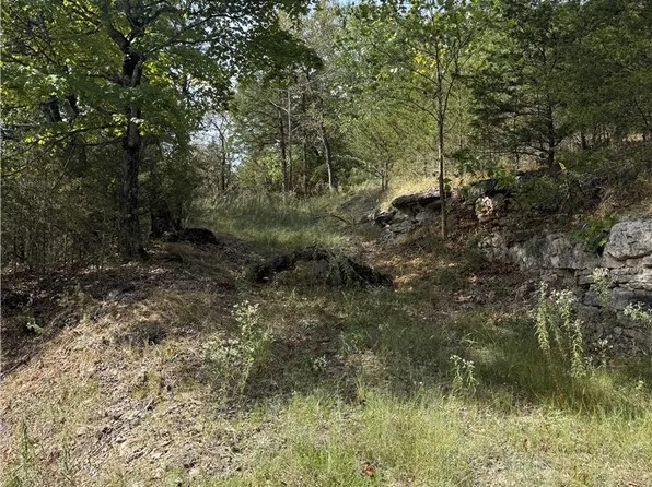 16 Oak Point Ln #3, Eureka Springs, AR 72631