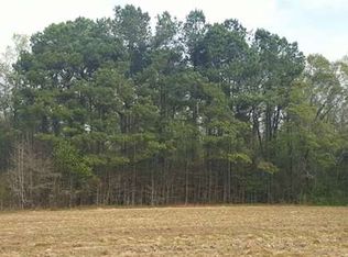 2029 Halfway Branch School Rd, Ivanhoe, NC 28447