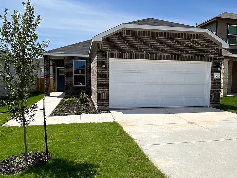 11622 Black Rose — Photo 1