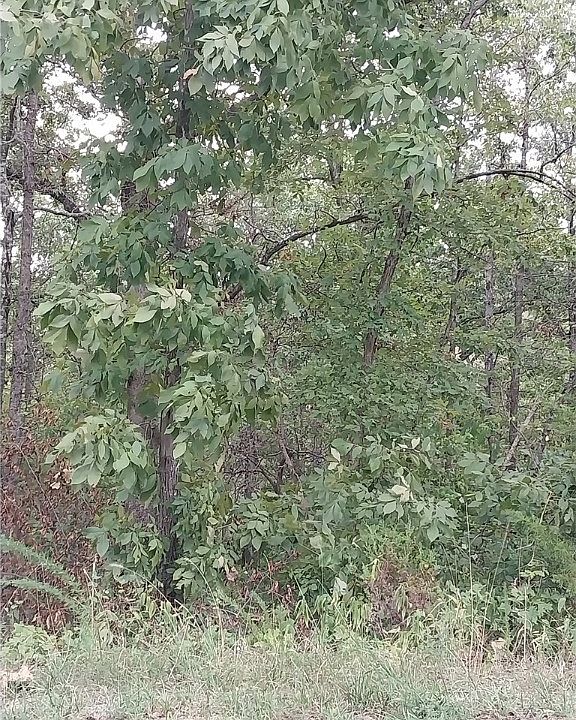 1st image of Berkshire Dr