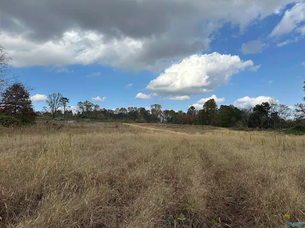 Burwell Rd, Harvest, AL 35749