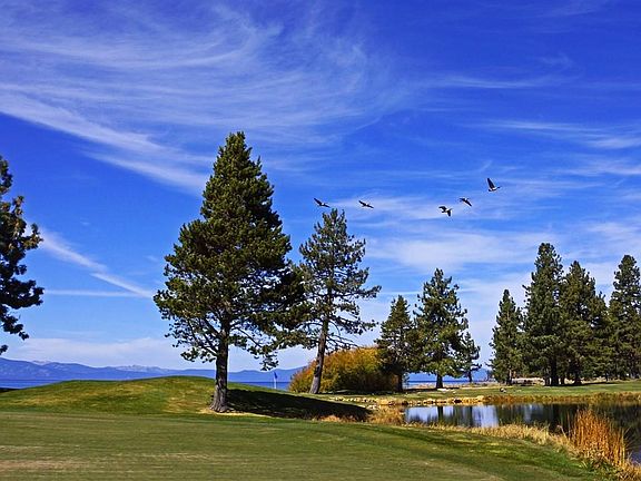 2nd image of 9200 Brockway Springs Dr #47