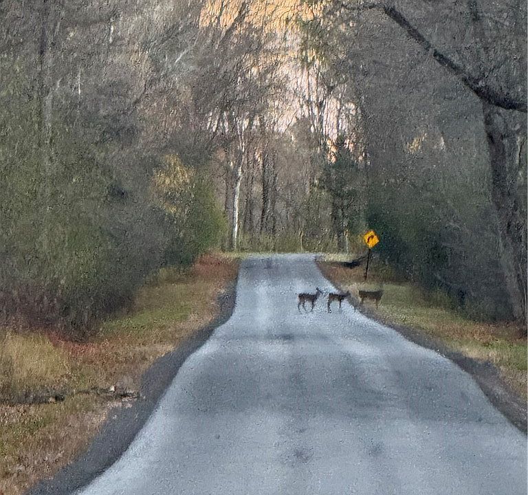 1st image of 0 County Route 38 Lot 26