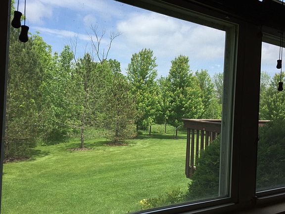 Gorgeous Backyard View