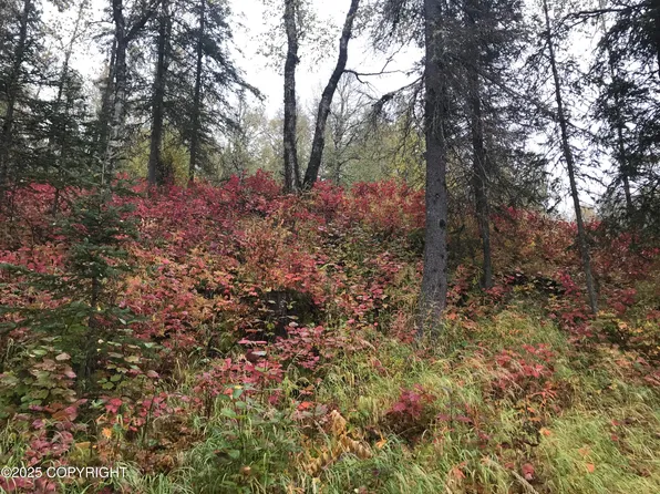 17738 E Miners Ave, Sutton, AK 99674