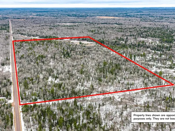 Tbd Norwich Rd, Ewen, MI 49925