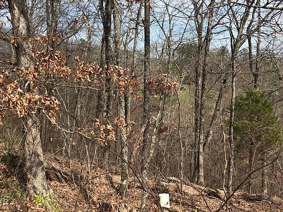 2nd image of Smoky Mountain View Dr