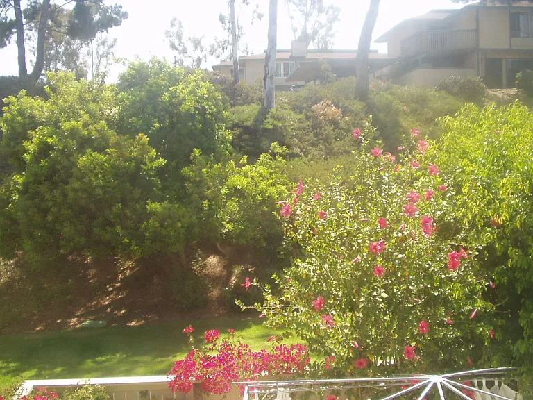 10157 Caminito Jovial — Photo 32