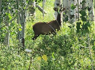 0 Zs Rd, Gateway, CO 81522