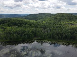0 Towers Rd, Milford, NY 13807