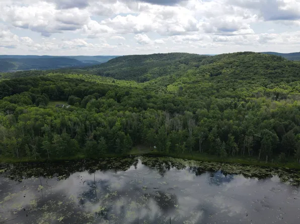 0 Towers Rd, Milford, NY 13807
