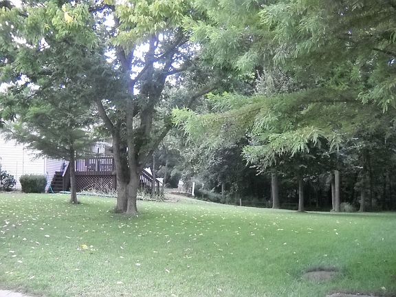 Back yard/side view