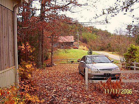 View of neighbors cabin from front yard