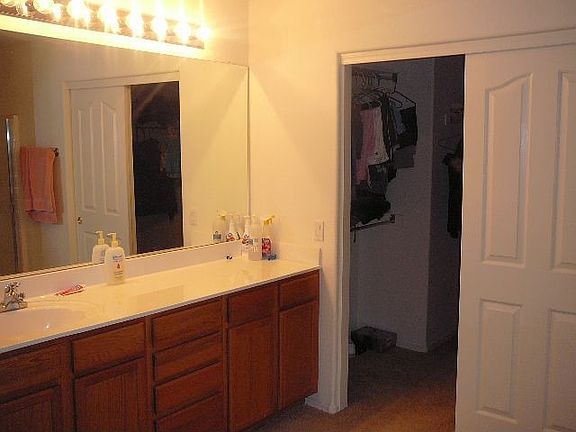 5th image of 10696 E Wallflower Ln