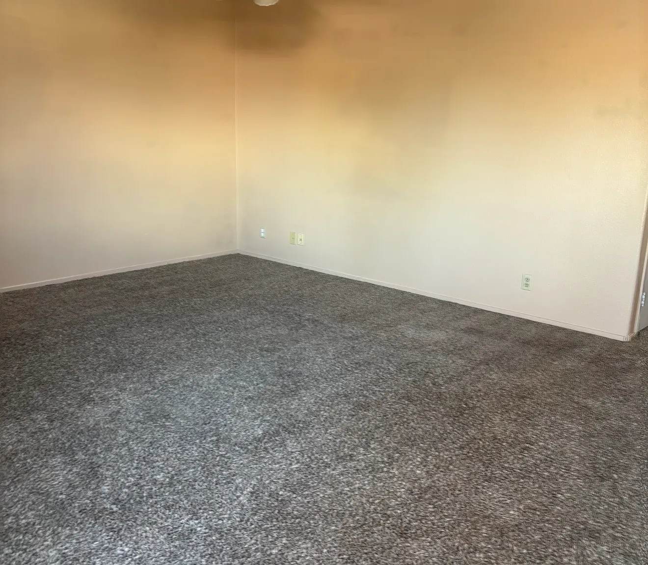 2 bed, 996 sqft, $1,100 — Photo 2