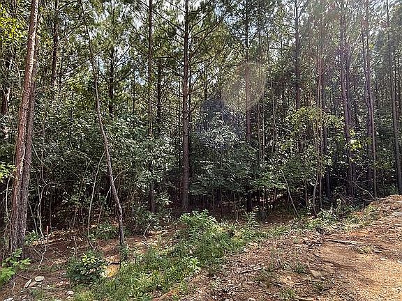 3rd image of 0 Bear Pine Trl