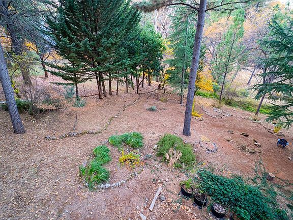 View of the shared back yard