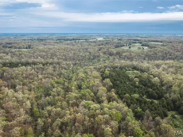 TRACT 2 Cleavesville Rd, Bland, MO 65014