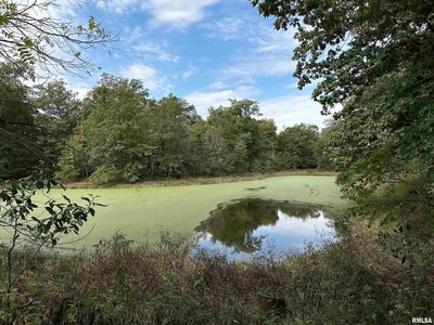 11611 N Friendship Rd, Martinsville, IL, 62442