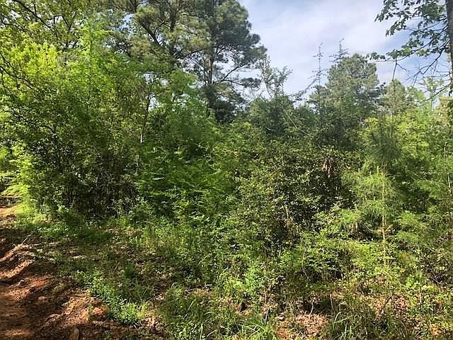 1st image of 708 County Road 239