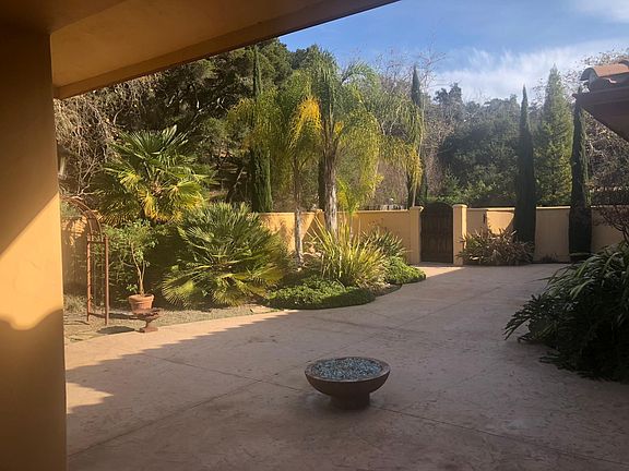 Walled garden/patio with palm trees and fire pit.