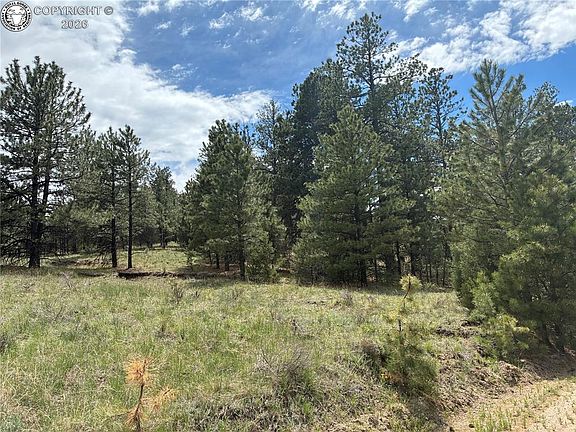 3rd image of 891 Driftwood Rd