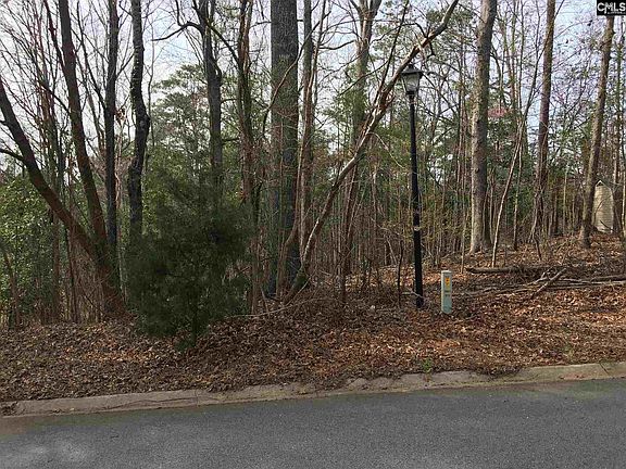 4th image of 217 Corley Woods Dr
