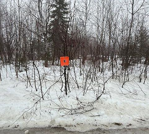 2nd image of E McDonald Road