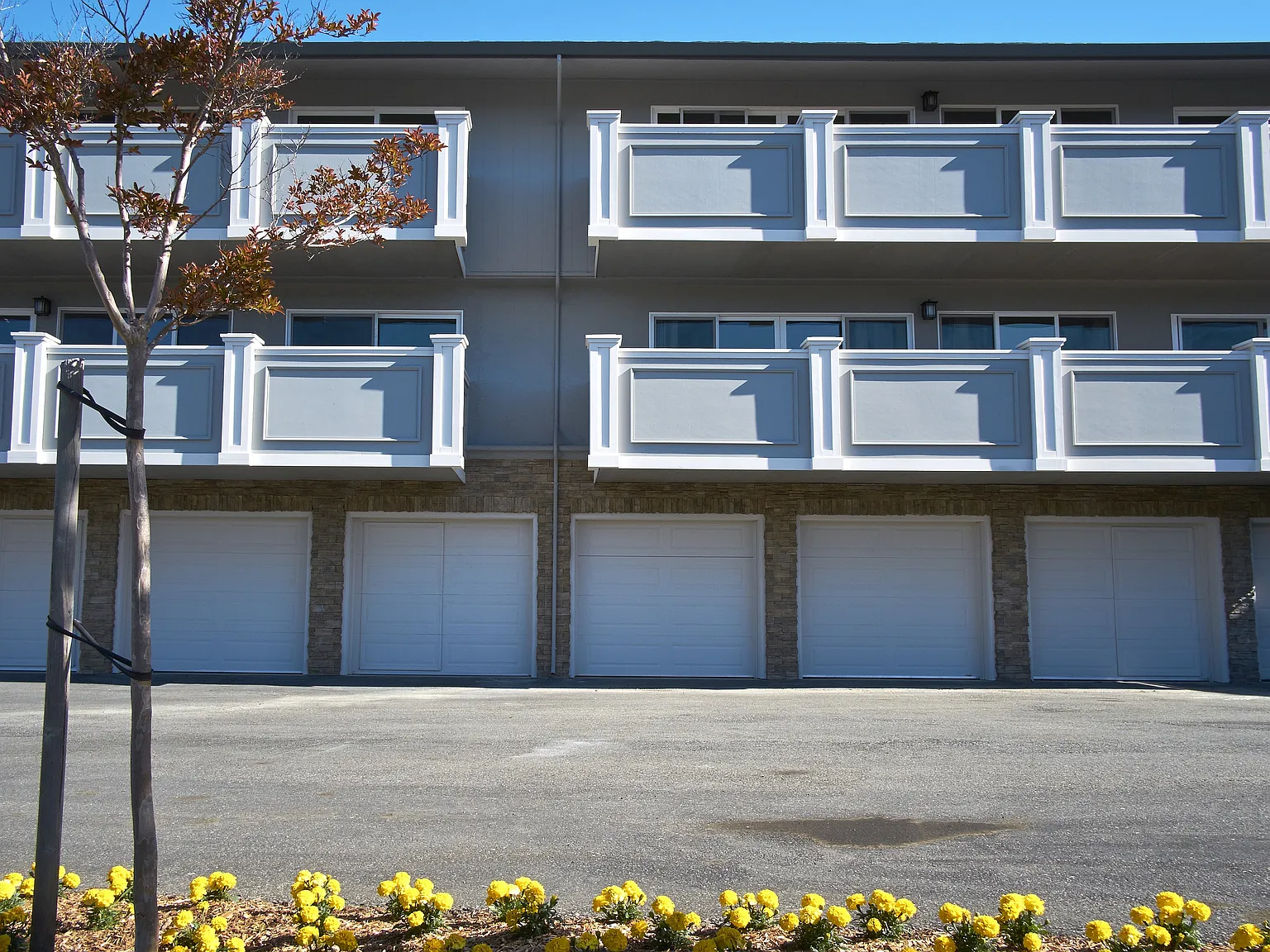 Palmetto — Photo 3