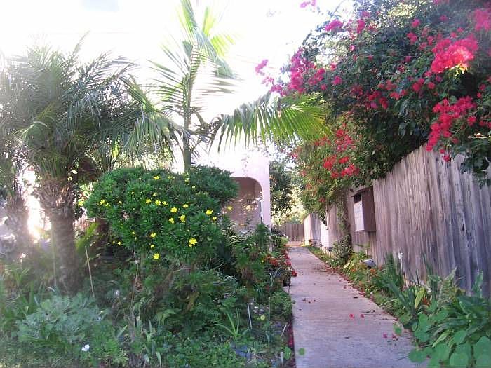 Beauganvilla lined walkwa