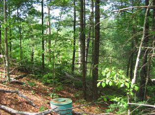 132 Le Conte View Ln LOT 96R, Townsend, TN 37882