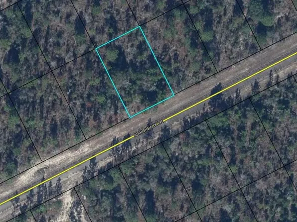 TBD ADIRONDACK DRIVE LOT 29, CHIPLEY, FL 32428