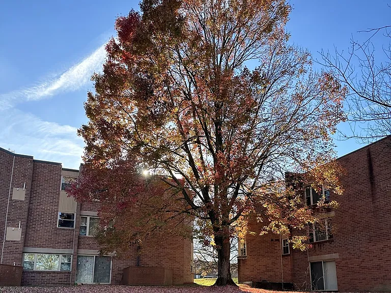 Summit Apartments - Latrobe, PA — Photo 9