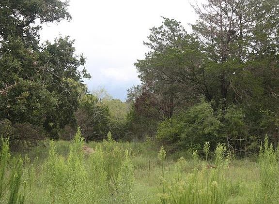 5th image of 123 Cutting Horse Trl
