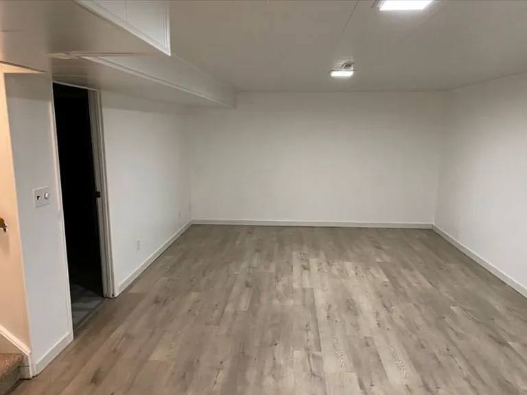 Basement family room