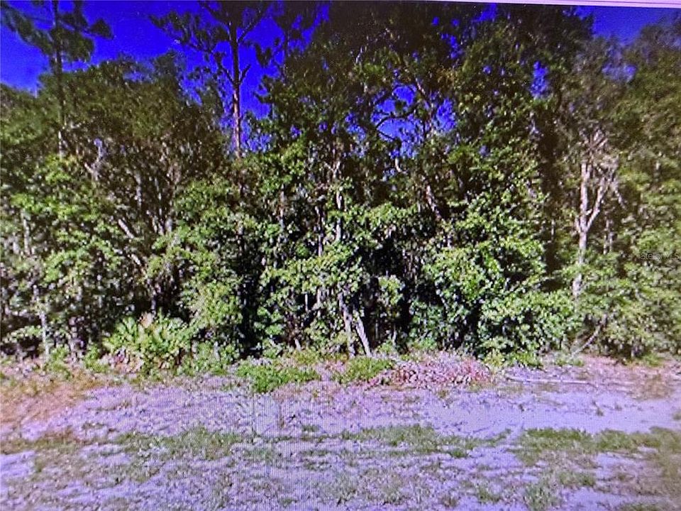 1st image of 0 CHIPO ST LOT 6