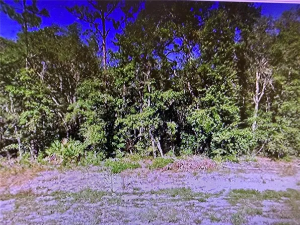 0 CHIPO ST LOT 6, INTERLACHEN, FL 32148