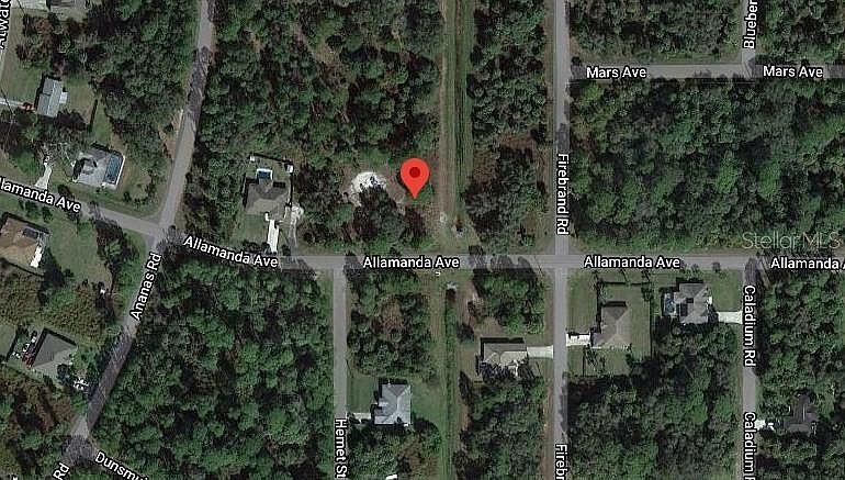2nd image of Allamanda Ave