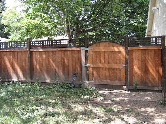 in the front yard looking at the front gate