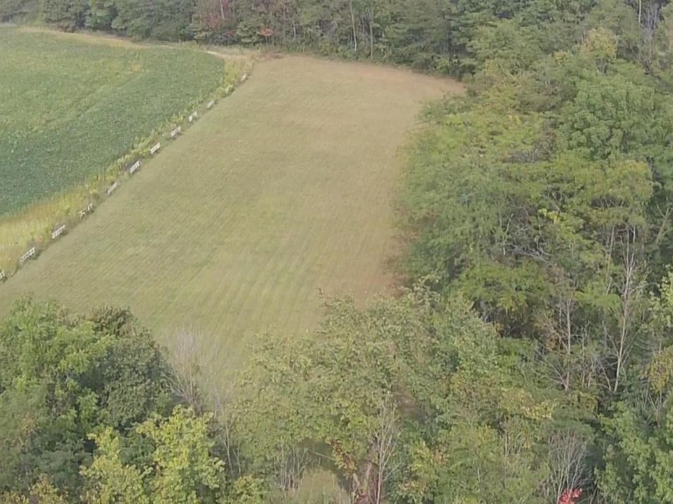 2nd image of 9369 Mitchell Dewitt Rd