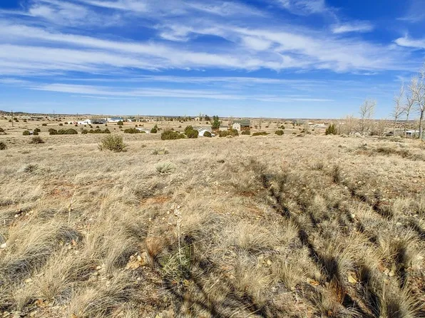 1960 S Blossom Ln, Taylor, AZ 85939