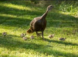 Edgar Steed Rd, Mc Cool, MS 39108