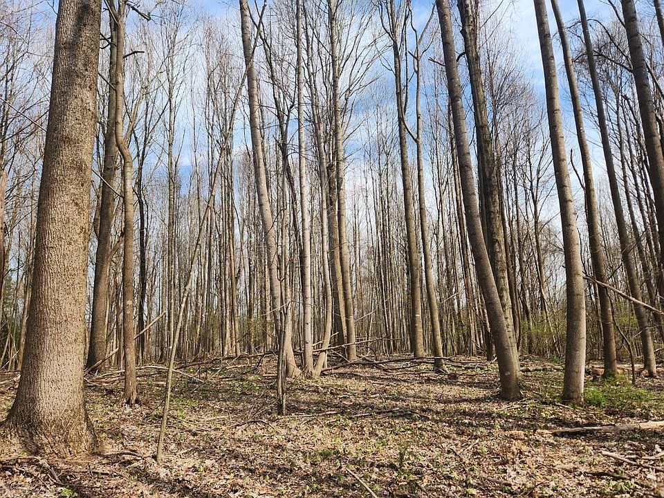 2nd image of Allis Chamlers Rd