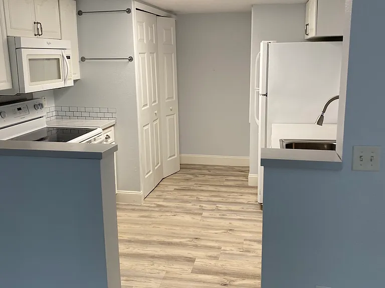 1335 Washington Palm Loop — Photo 1